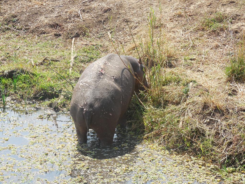 Suedafrika (209)